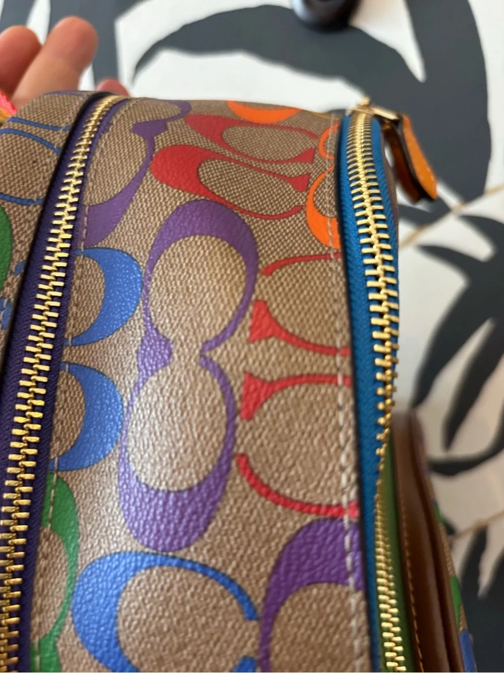 Coach limited edition Pride Backpack